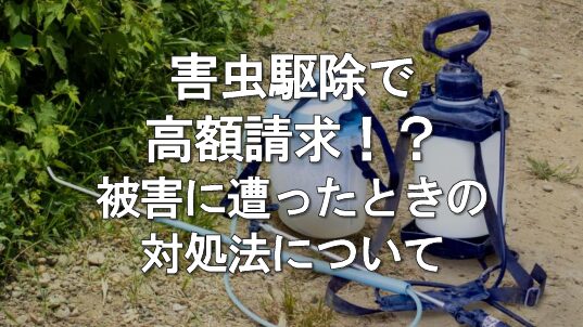 害虫駆除で高額請求！？違法な詐欺業者に騙されたときの対処法を解説